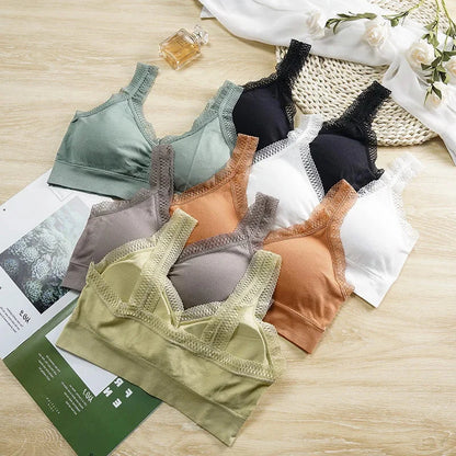 Lace-trimmed cotton bandeau top with an elegant back design, ideal for layering or standalone wear.