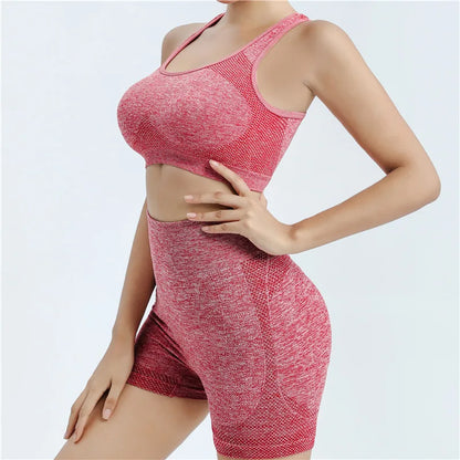 Yoga Set Gym Shorts Women's Sport Bras Brassiere Workout Tops